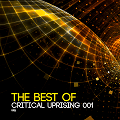 The Best Of Critical Uprising 001
