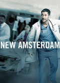 New Amsterdam Temporada 1