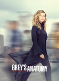 Anatomía de Grey Temporada 16