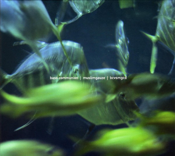 BASS COMMUNION – BCVSMGCD