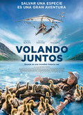 Volando juntos