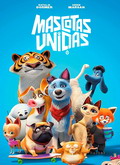 Mascotas unidas