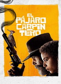El pájaro carpintero Temporada 1