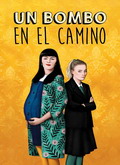 Un bombo en el camino