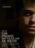 Los pájaros no vuelan de noche