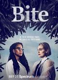 The Bite Temporada 1